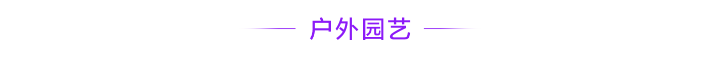 Lazada CN